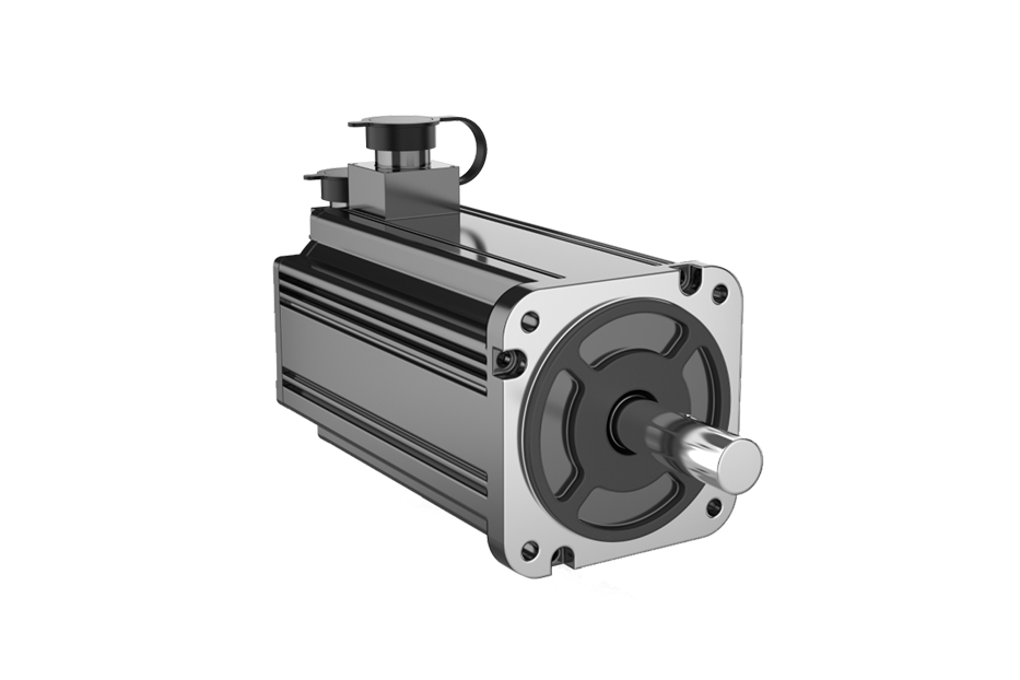 1699514262142690.png wkd (2).png